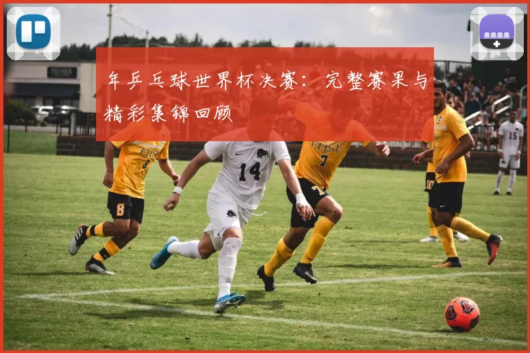 年乒乓球世界杯决赛:完整赛果与精彩集锦回顾