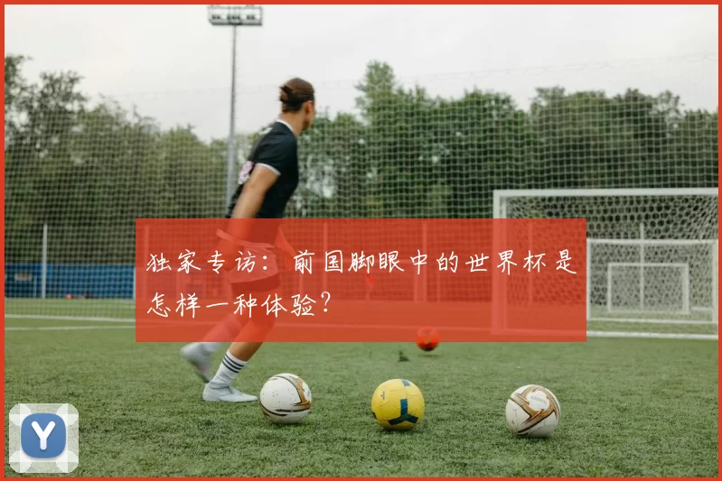 独家专访:前国脚眼中的世界杯是怎样一种体验?