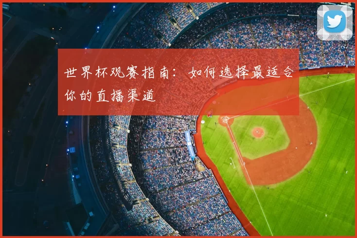 世界杯观赛指南：如何选择最适合你的直播渠道