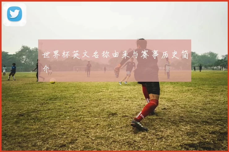 世界杯英文名称由来与赛事历史简介