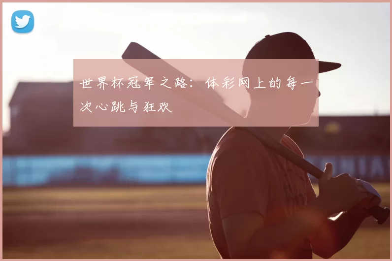 世界杯冠军之路：体彩网上的每一次心跳与狂欢