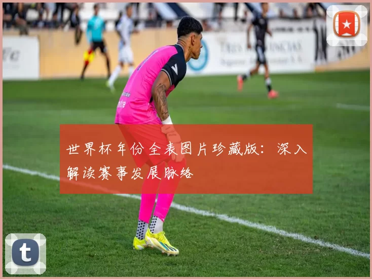 世界杯年份全表图片珍藏版：深入解读赛事发展脉络