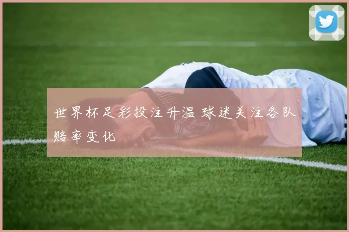 世界杯足彩投注升温 球迷关注各队赔率变化