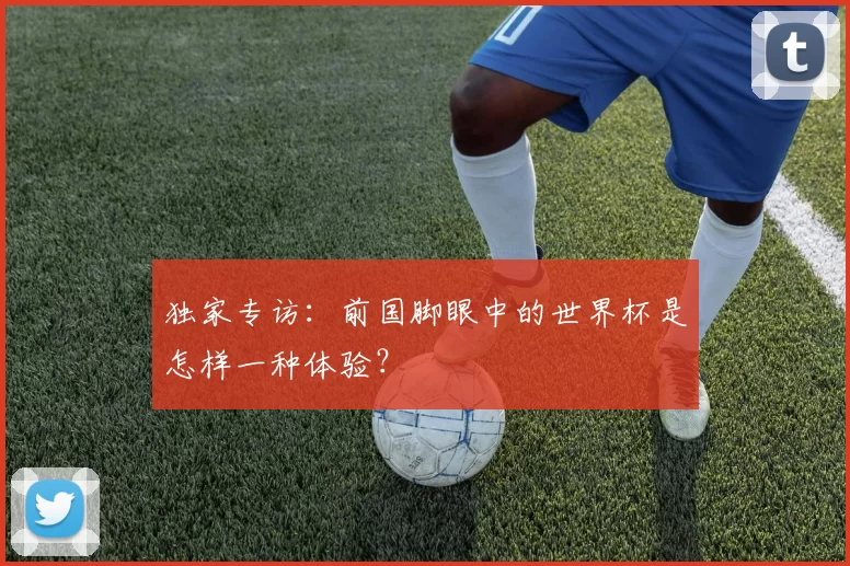 独家专访:前国脚眼中的世界杯是怎样一种体验?