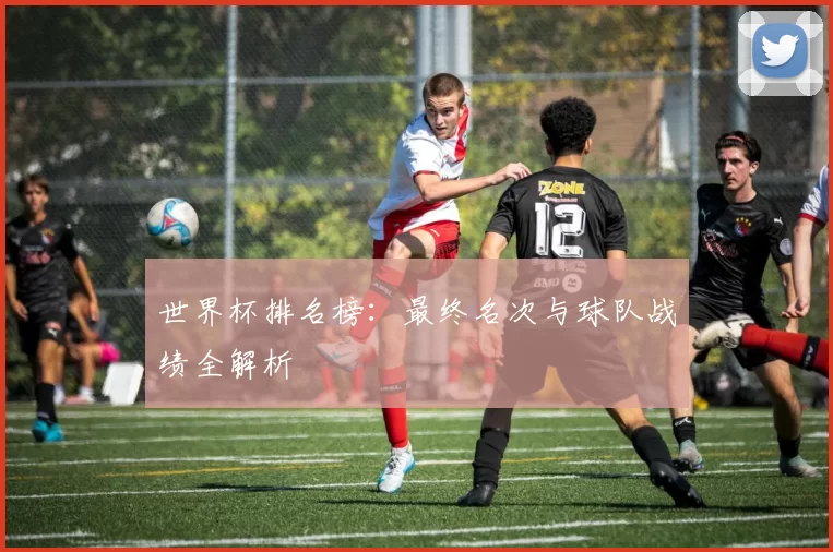 世界杯排名榜:最终名次与球队战绩全解析