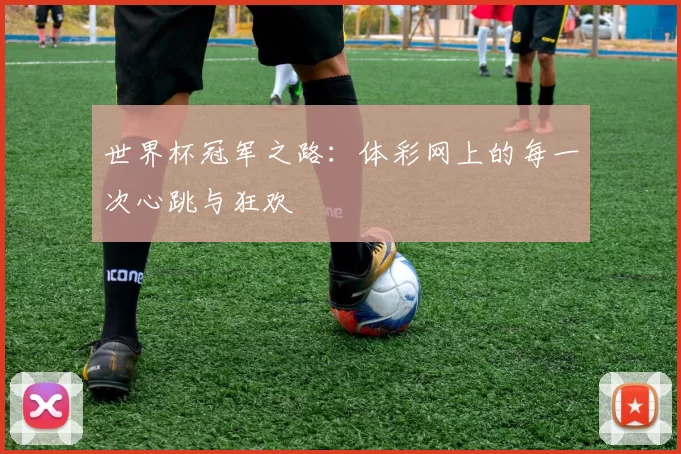 世界杯冠军之路：体彩网上的每一次心跳与狂欢