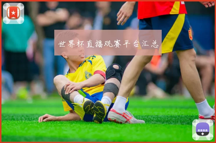 世界杯直播观赛平台汇总