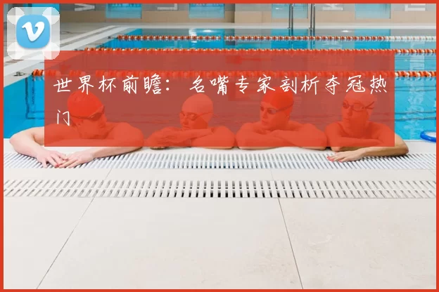 世界杯前瞻:名嘴专家剖析夺冠热门